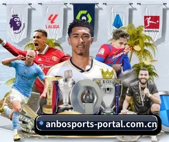 安博体育入口 APP(ANBOSPORTS)